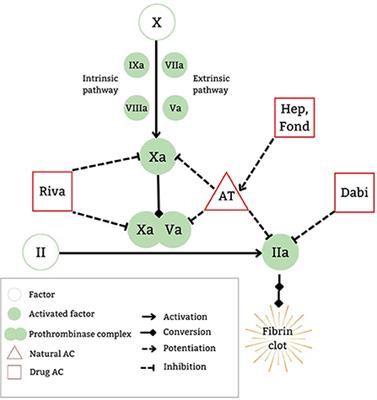 Direct oral anticoagulants in pediatric venous thromboembolism: Review of approved products rivaroxaban and dabigatran